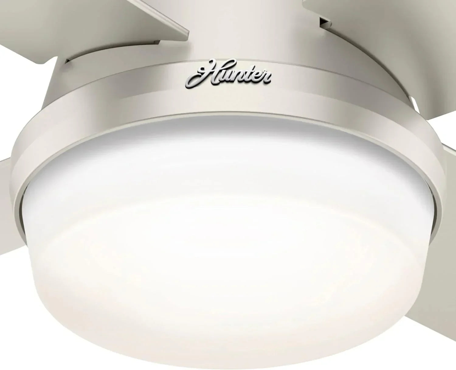 Hunter Fan Company Dempsey Low Profile Indoor / Outdoor Ceiling Fan with LED Light and Remote Control, 44", Matte Nickel